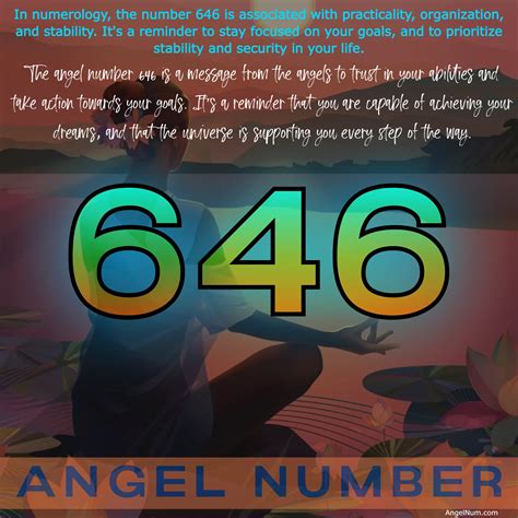 646 angel number